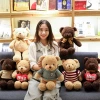 Factory wholesale of sweaters, teddy bear dolls, plush toys, bear pillows, cloth dolls, wedding gifts, and gift bears Specification image